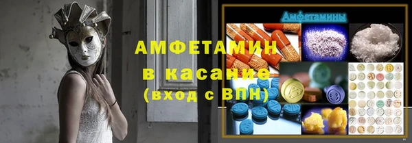 индика Волоколамск