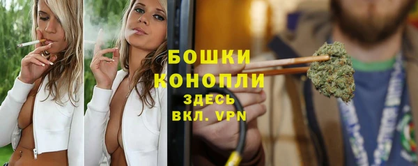 шишки Володарск