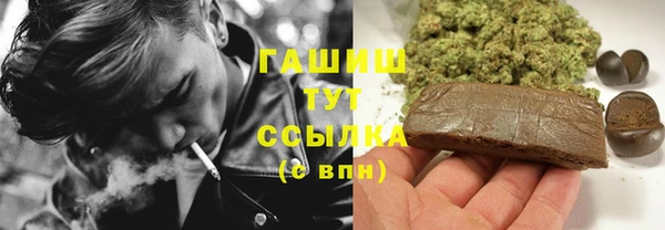 индика Волоколамск