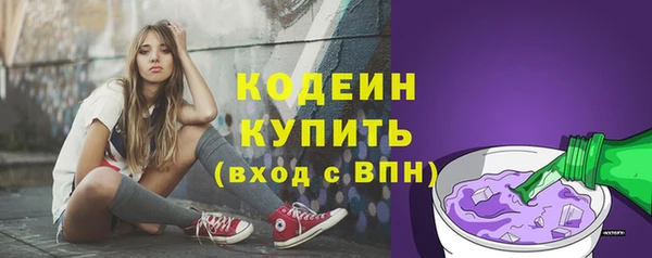 шишки Володарск