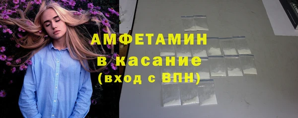 индика Волоколамск