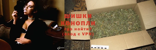 шишки Володарск