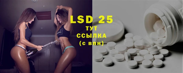 индика Волоколамск