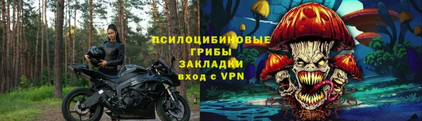 шишки Володарск