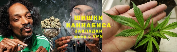 индика Волоколамск