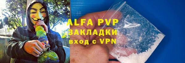 индика Волоколамск