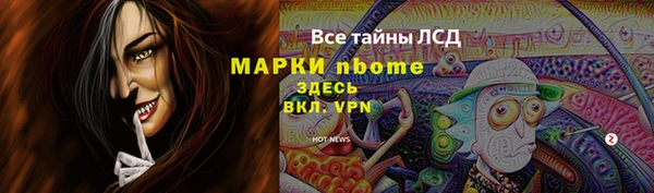 индика Волоколамск