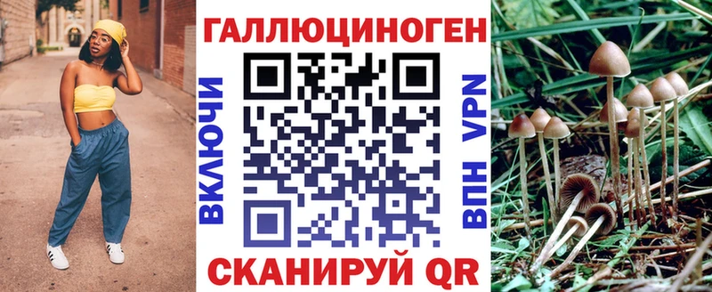 Галлюциногенные грибы GOLDEN TEACHER  Купить закладки  Кохма 